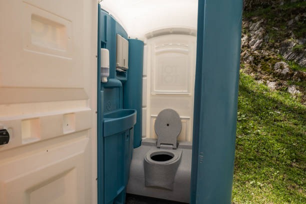 Best Porta potty rental for festivals  in Belleville, MI